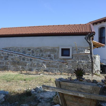 Casa Da Lima - Nestled In Nature On Santiago'S And Fatima'S Path, Close To Coimbra And Rabacal Alvorge Eksteriør billede