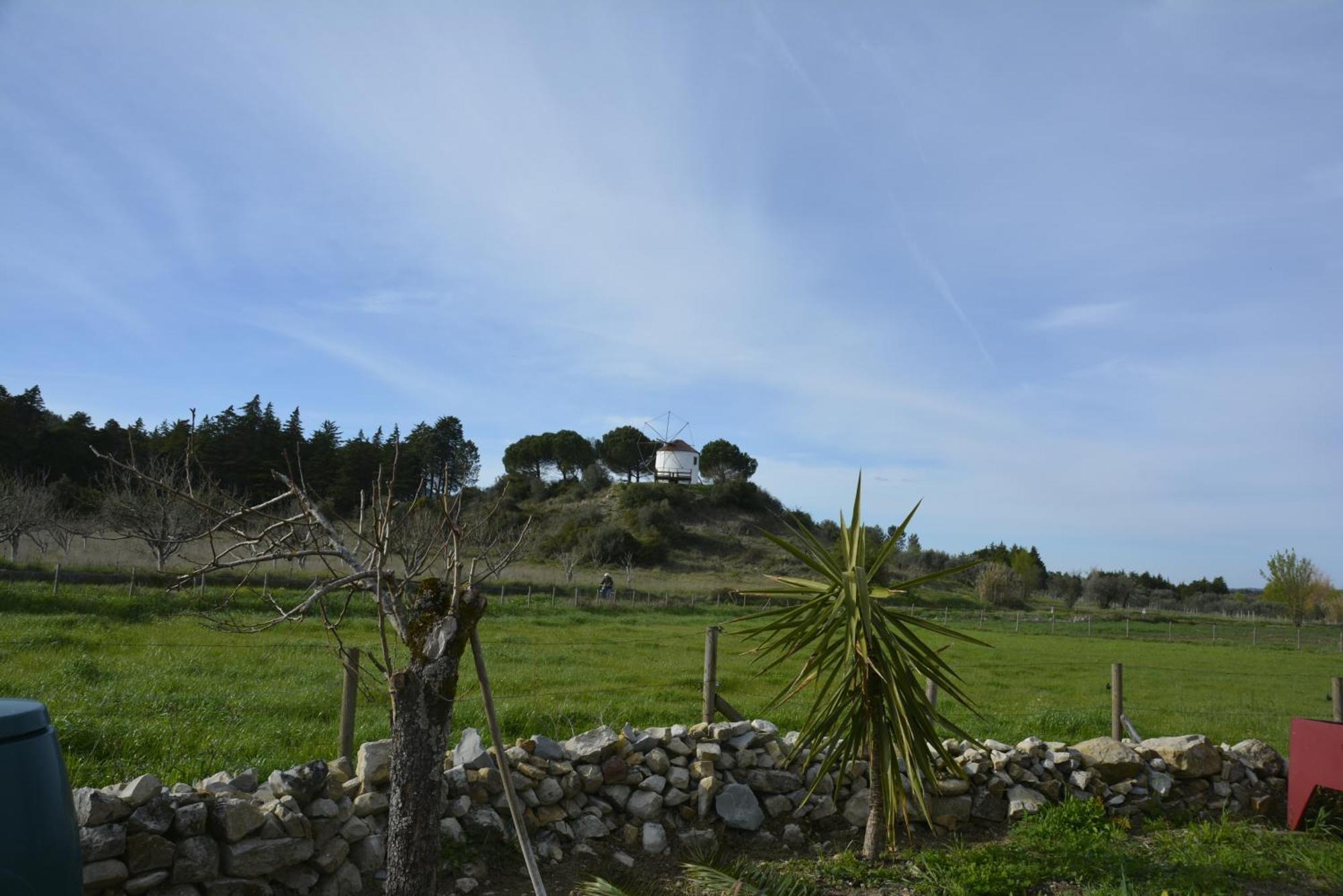 Casa Da Lima - Nestled In Nature On Santiago'S And Fatima'S Path, Close To Coimbra And Rabacal Alvorge Eksteriør billede