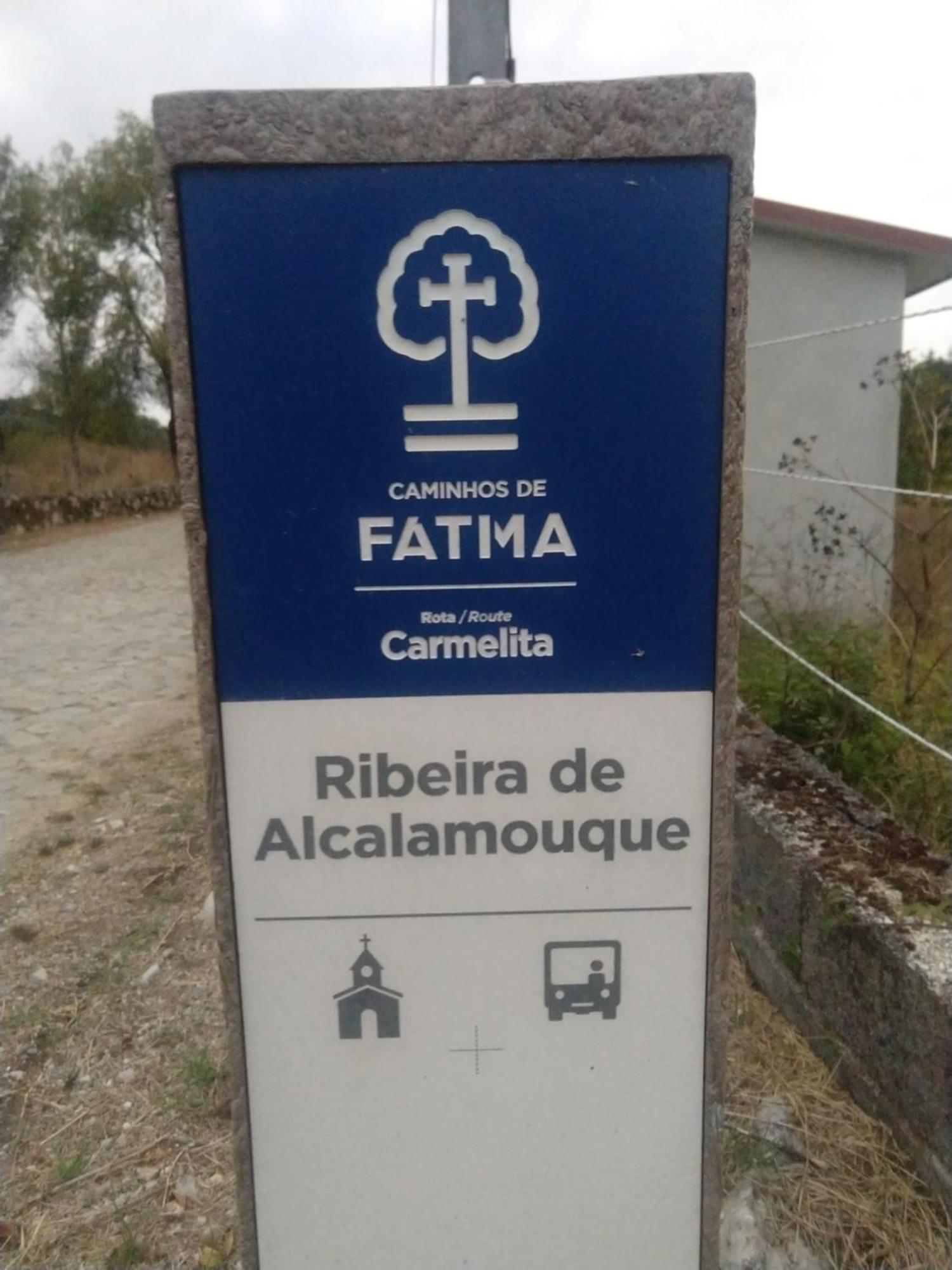 Casa Da Lima - Nestled In Nature On Santiago'S And Fatima'S Path, Close To Coimbra And Rabacal Alvorge Eksteriør billede