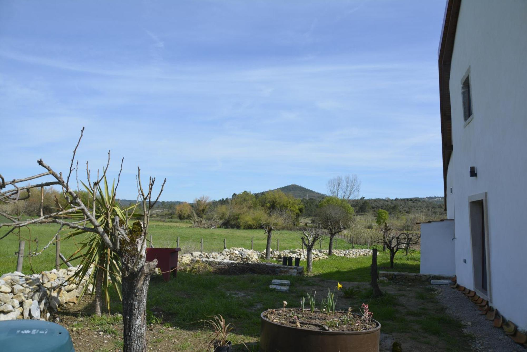 Casa Da Lima - Nestled In Nature On Santiago'S And Fatima'S Path, Close To Coimbra And Rabacal Alvorge Eksteriør billede