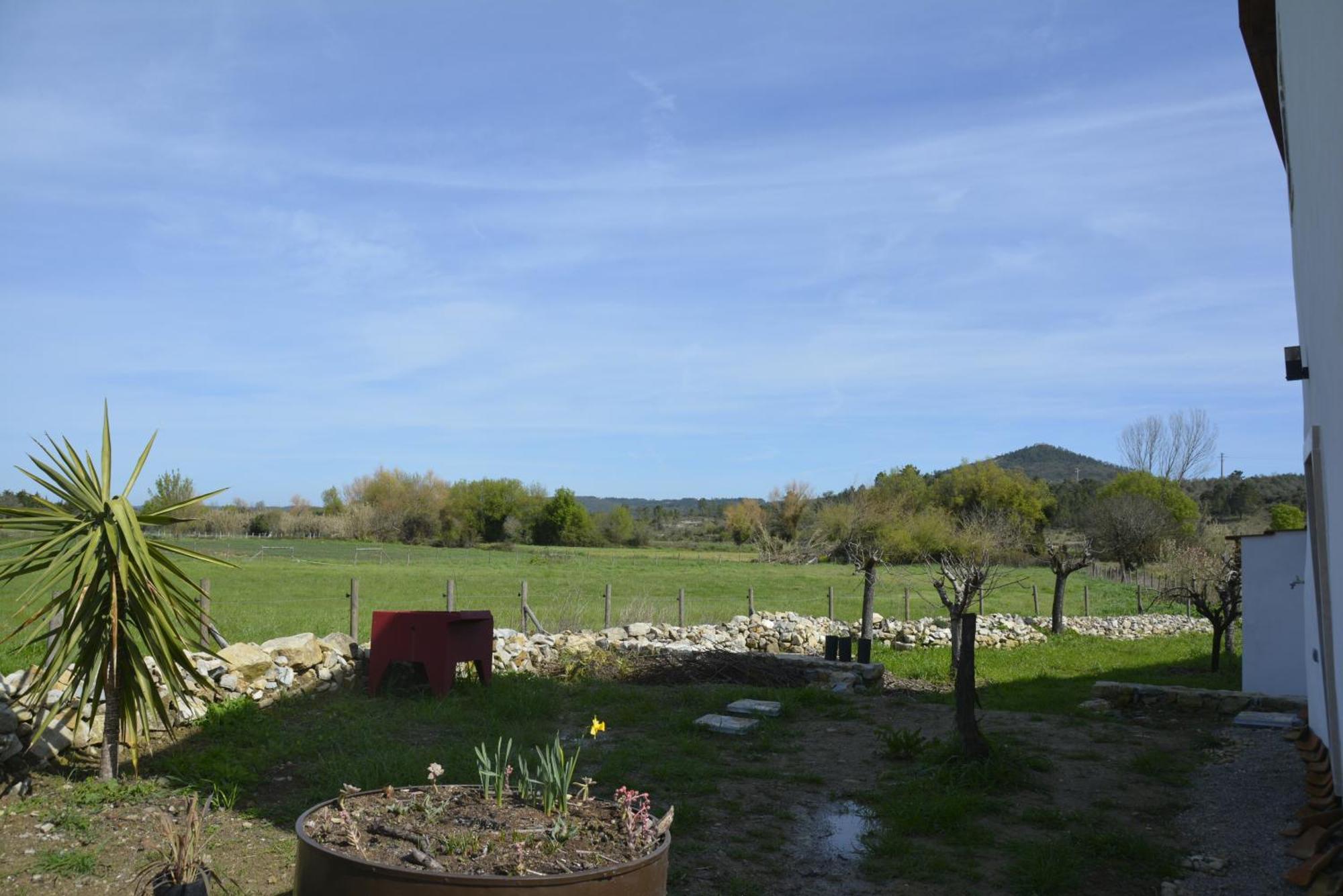 Casa Da Lima - Nestled In Nature On Santiago'S And Fatima'S Path, Close To Coimbra And Rabacal Alvorge Eksteriør billede