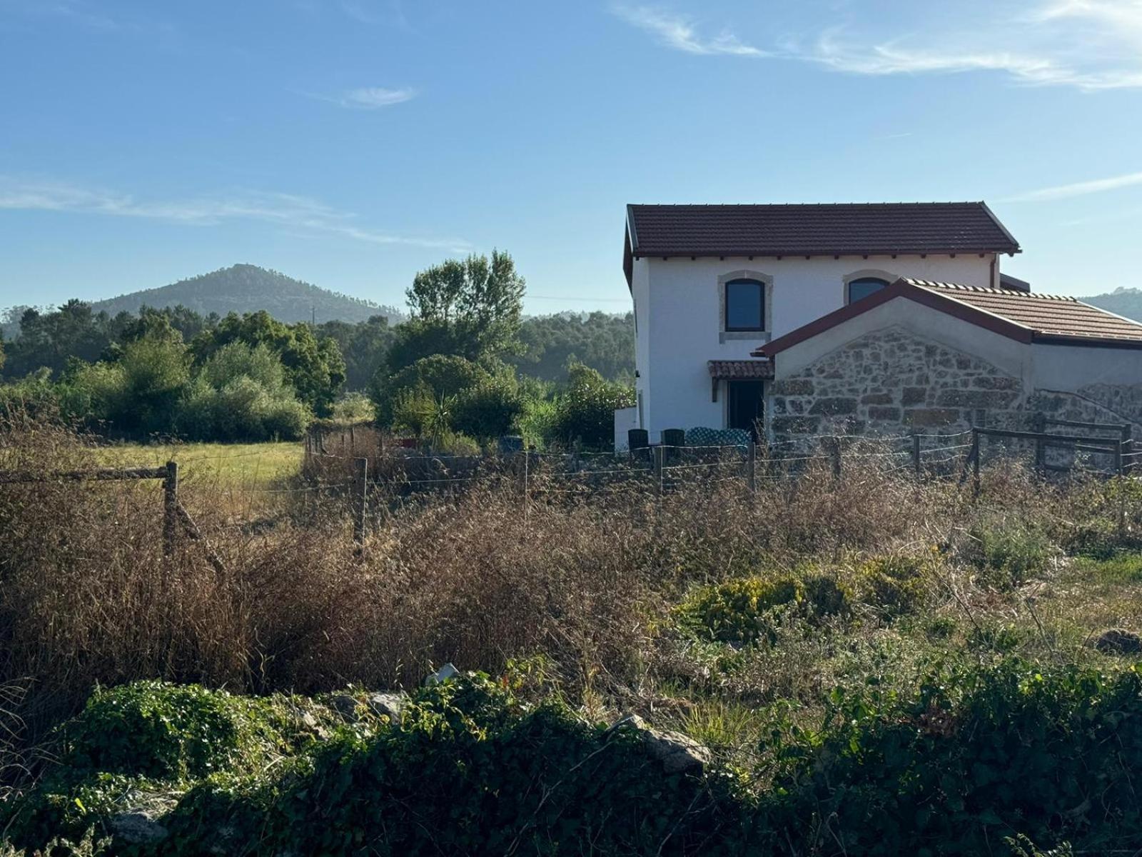 Casa Da Lima - Nestled In Nature On Santiago'S And Fatima'S Path, Close To Coimbra And Rabacal Alvorge Eksteriør billede