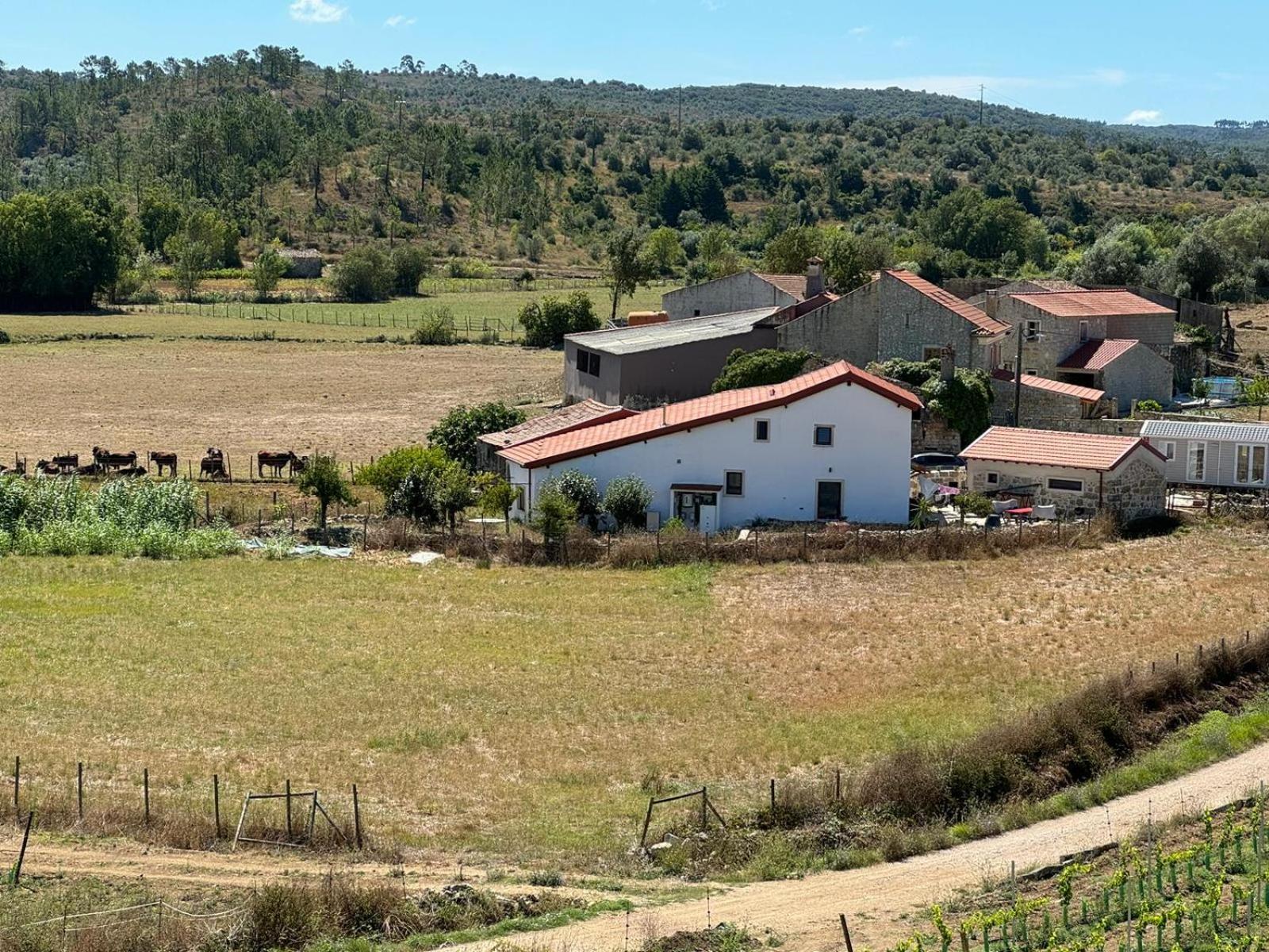 Casa Da Lima - Nestled In Nature On Santiago'S And Fatima'S Path, Close To Coimbra And Rabacal Alvorge Eksteriør billede