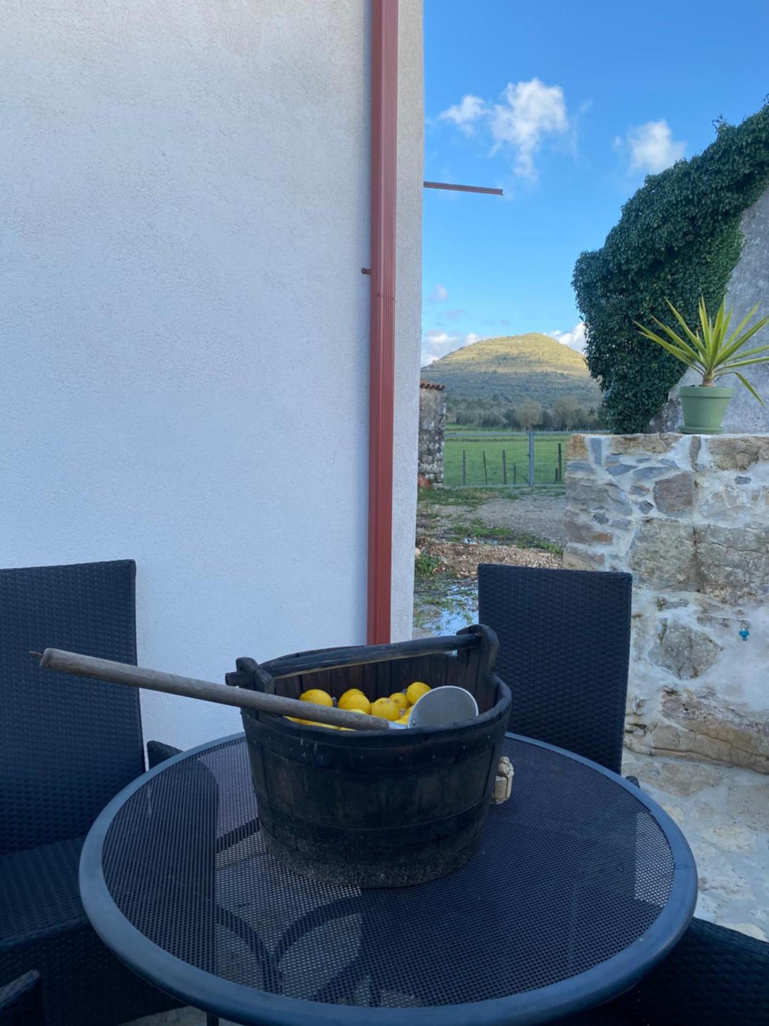 Casa Da Lima - Nestled In Nature On Santiago'S And Fatima'S Path, Close To Coimbra And Rabacal Alvorge Eksteriør billede