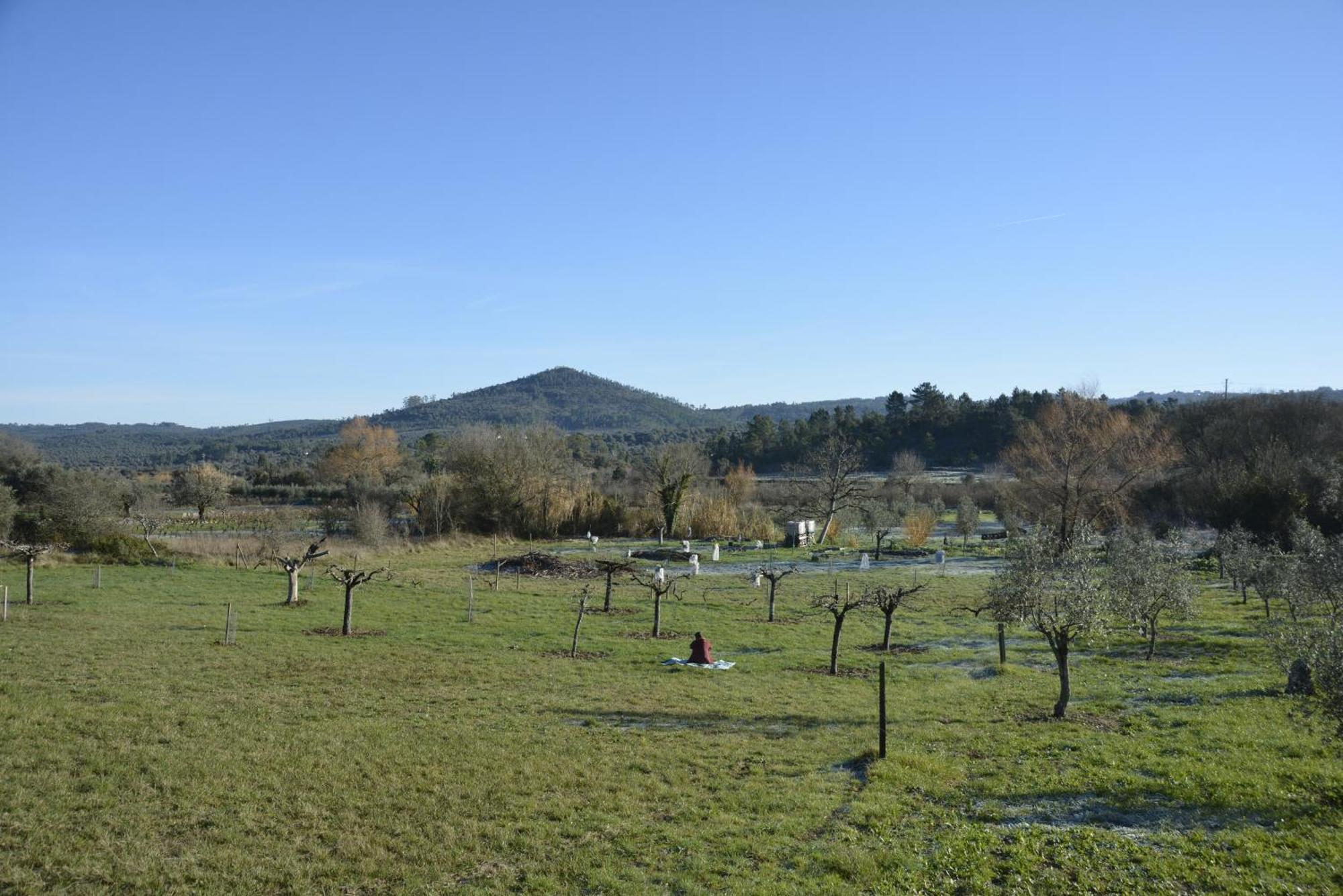 Casa Da Lima - Nestled In Nature On Santiago'S And Fatima'S Path, Close To Coimbra And Rabacal Alvorge Eksteriør billede